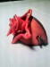 DSC00637.JPG