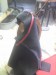 2012-03-09 10.22.47